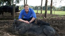S6 E11: Bondi Vet