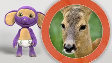 S1 E3: Fantus and the Deer
