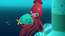 S1 E6: The Giant Squid