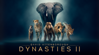 David Attenborough's Dynasties II
