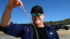 S24 E23: Creek to Coast