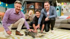 S5 E3: The Living Room