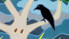 S1 E4: Crow and the Waterhole