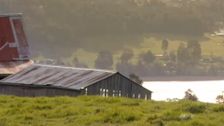 S3 E1: New Farm