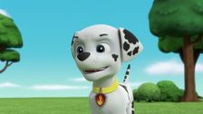 S7 E3: Pups Save an Antarctic Martian; Pups Save the Maze Explorers
