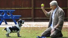 S5 E5: Paul O'Grady: For the Love of Dogs
