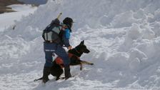 S3 E7: Ski Rescue Downunder