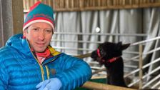 S13 E3: The Yorkshire Vet