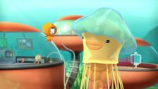S3 E14: Lion's Mane Jellyfish