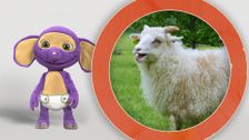 S1 E7: Fantus and the Lamb