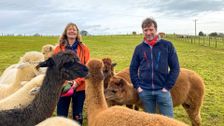 S15 E3: The Yorkshire Vet