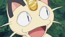 S8 E47: Sitting Psyduck