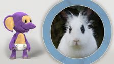 S1 E4: Fantus and the Rabbit