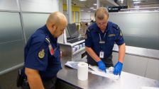 S7 E17: Border Security: Australia's Front Line