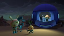 S1 E21: The Octonauts and the Fire Ants