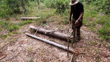S1 E7: Supersized Deadfall Trap