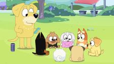 S3 E14: Pass the Parcel