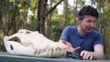 S1 E7: Saltwater Croc