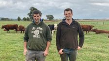 S13 E4: The Yorkshire Vet