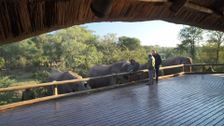 S25 E38: Africa