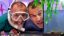 S12 E7: Cracking Crystals