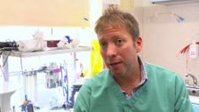 S10 E13: The Yorkshire Vet