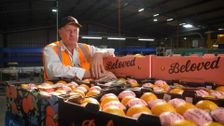 S14 E25: South Aussie With Cosi