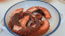 S1 E1: Pickled Octopus