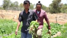 S1 E3: South Australia
