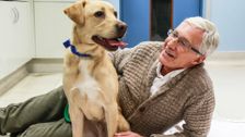 S5 E7: Paul O'Grady: For the Love of Dogs