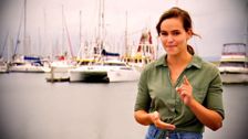 S20 E11: Creek to Coast