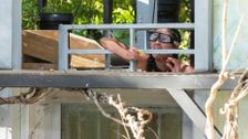 S11 E2: I'm A Celebrity...Get Me Out Of Here!