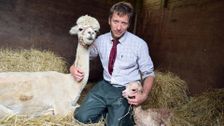 S3 E1: The Yorkshire Vet