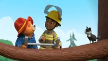 S2 E27: Paddington Shares a Good Deed
