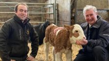 S12 E3: The Yorkshire Vet