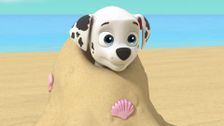 S8 E6: Sea Patrol: Pups Save a Water Walker; Sea Patrol: Pups Save a Windsurfer