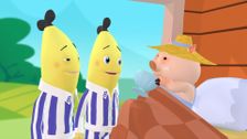 S1 E9: The Nursing Bananas