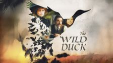 The Wild Duck