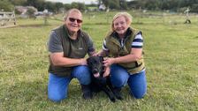 S13 E10: The Yorkshire Vet