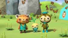 S1 E9: The Octonauts and the Caterpillar Caravan