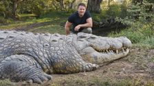 S1 E2: Killer Crocs With Steve Backshall
