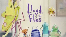Lloyd of the Flies