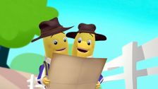 S1 E13: The Bush Walk