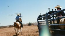S13 E5: Cowboy Life