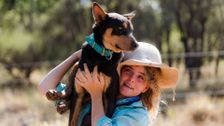 S3 E2: Muster Dogs: Collies and Kelpies