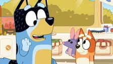 S1 E12: Bob Bilby
