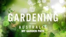 Gardening Australia: My Garden Path
