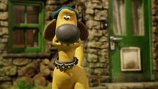 S4 E13: The Dog Show