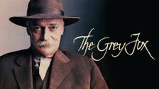 The Grey Fox