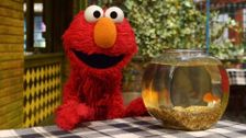 S46 E32: Elmo and Abby's Ocean Adventure